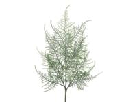 Kunsttak plumosa asparagus frosted, 65 cm - Hortus