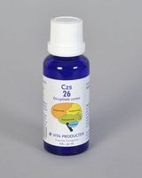 Vita CZS 26 Occipitale cortex (30 ml)