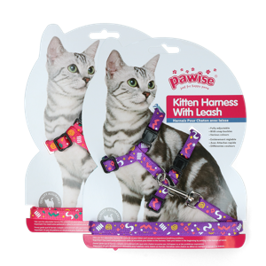 Pawise Kitten Harness Leash-Pink/Purple