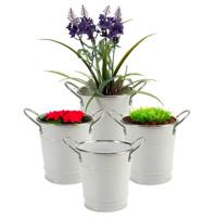 Plantenpot/bloempot emmer - 4x - rond - zink - wit - D12 x H16 cm - thumbnail