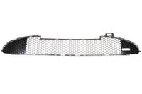 Ventilatiegrille, bumper 6502075507996P