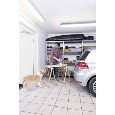 LEDVANCE SUBMARINE (EU) Kuiplamp voor vochtige ruimte LED T8 8 W Koudwit Grijs