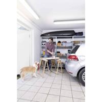 LEDVANCE SUBMARINE (EU) Kuiplamp voor vochtige ruimte LED T8 8 W Koudwit Grijs