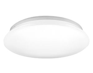 520020000100  - Ceiling-/wall luminaire 520020000100