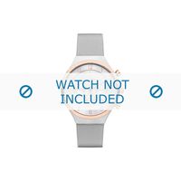 Horlogeband Danish Design IQ67Q1113 Mesh/Milanees Staal 19mm