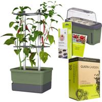 Gusta Garden Chili-Starter-Set 5-teilig dunkelgrün CHARLY CHILI / HARRY HERBS / Zubehör / W07083 Plantcontainer