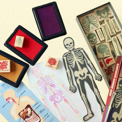 Anatomie stempelset Anatomie stempelset