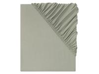 LIVARNO home Jersey hoeslaken 140-160 x 200 cm (Groen)