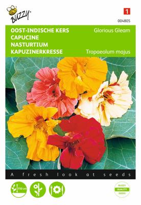 Tropeaolum majus Glorious Gleam Dubbelbl. - Buzzy