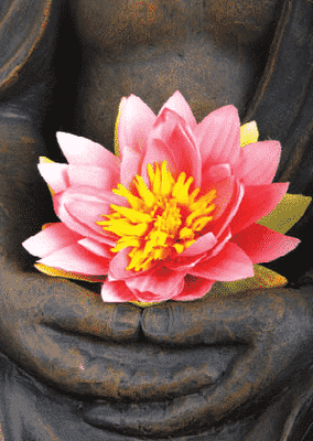 Ansichtkaarten Lotus