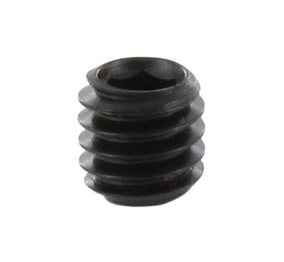 ENT schroef M 4 x 4 - 7900602