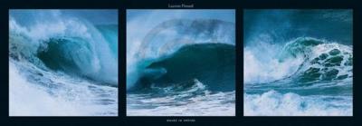 Kunstdruk Laurent Pinsard - Waves in motion 95x33cm