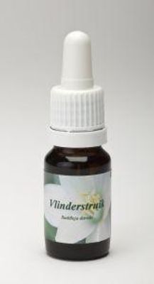 Vlinderstruik