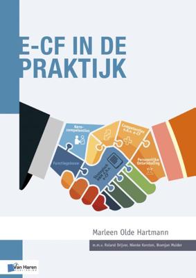 e-CF in de praktijk (Paperback)