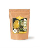 UTOPIA KANARIES TOP QUALITY