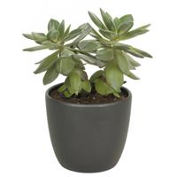 Floran bloempot/plantenpot Atmosphera - mat antraciet grijs - keramiek - D36 x H29 cm