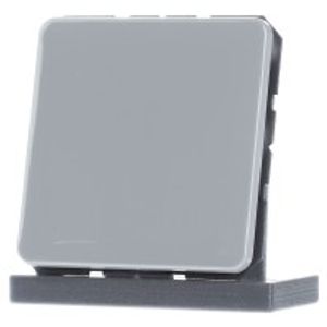 CD 594-0 GR  - Cover plate for Blind plate grey CD 594-0 GR