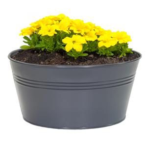 Plantenpot/bloempot Bob - rond - zink - antraciet - D25 X H12 cm