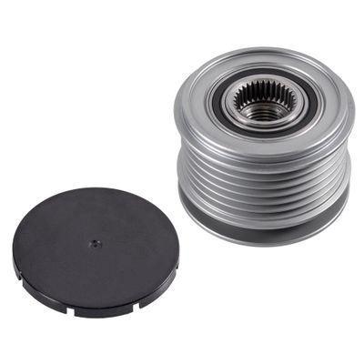 Riemschijf 30067