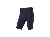 CRIVIT Heren fietsshort (Blauw, L)