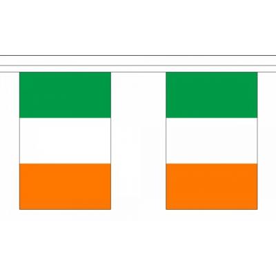 Luxe Ierland vlaggenlijn - 9 meter - 30 vlaggetjes - polyester Luxe Ierland vlaggenlijn - 9 meter - 30 vlaggetjes - polyester