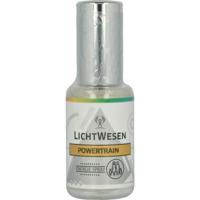 Lichtwesen Power train facial tonic spray Lichtwesen Power train facial tonic spray