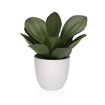 Decoratieve plant Versa Ijzer Textiel Plastic 25 x 23 cm