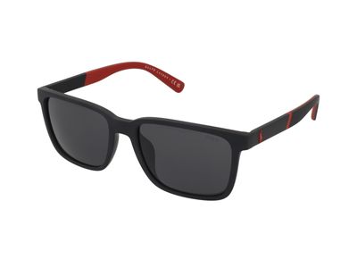 Zonnebrillen Polo Ralph Lauren PH4189U 537587