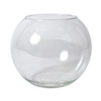 Bol vaas/terrarium - D25 x H21 cm - glas - transparant   - - thumbnail