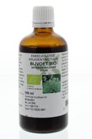 Natura Sanat Artemisia vulgaris herb/bijvoet tinctuur bio