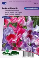 Lathyrus Odoratus zaden Ripple Formula Mix reukerwt