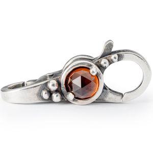 Trollbeads TAGLO-00108 Slot Inspiratie en succes zilver-amethist-hessoniet