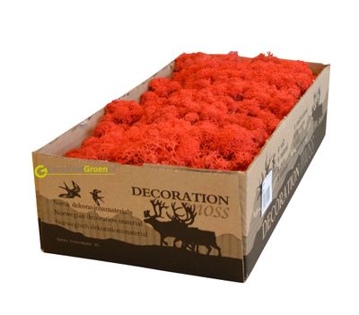 Rendiermos rood 500 gram