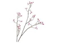 Bessentak l94 cm roze - Silkka