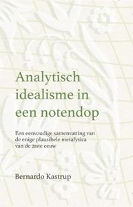Analytisch idealisme in een notendop (Hardback)
