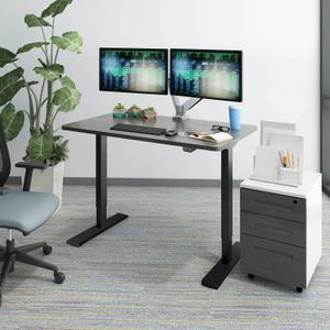 Flexispot EG1 zit sta bureau, elektrisch in de hoogte verstelbaar bureau, zwart, alleen tafelonderstel