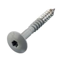 Hoenderdaal agaatgrijze hpl schroef - RVS-A2 - TX-20 - 4.8x38mm