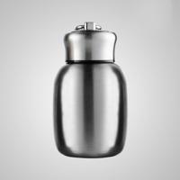 Mini leuke koffie vacuüm kolven Thermos RVS Cup reizen drink water fles Thermoses mokken 280ML (roestvrijstaal)