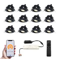 Set van 12 Sienna Smart LED Mini Inbouwspots - Veranda spots - 12V 3W 200lm - Dimbaar - Kantelbaar - Wifi & Bluetooth - 2700K - IP44 - Zwart