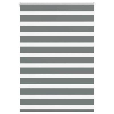 VidaXL Zebra rolgordijn 100x100 cm stofbreedte 95,9 cm donkergrijs