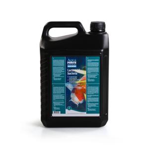 Aquaforte Melkzuurbacteriën 5L - Helder Water & Gezonde Koi in Vijvers - Probiotica Supplement
