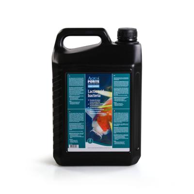 Aquaforte Melkzuurbacteriën 5L - Helder Water & Gezonde Koi in Vijvers - Probiotica Supplement
