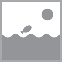 Kasco Drijvende Fontein 2400 - RVS Vijverfontein met LED, 5 Nozzles, Duurzame Waterfeature Kasco Drijvende Fontein 2400 - RVS Vijverfontein met LED, 5 Nozzles, Duurzame Waterfeature