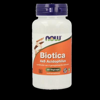 NOW Biotica 4x6 acidophilus 60 Vegetarische capsules