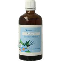 Balance Pharma Eleutherococcus tincturen