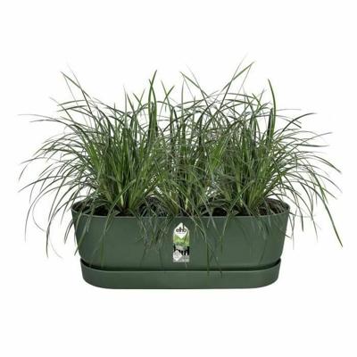 Bloempot Elho Groen 21,2 x 52 x 19,4 cm