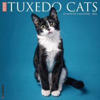 Tuxedo Katten Kalender 2026