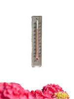 Muurthermometer plexiglas 21x4x0,8cm - Nature