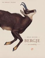 Bergje - Bregje Hofstede - ebook