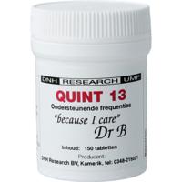 DNH Quint 13
